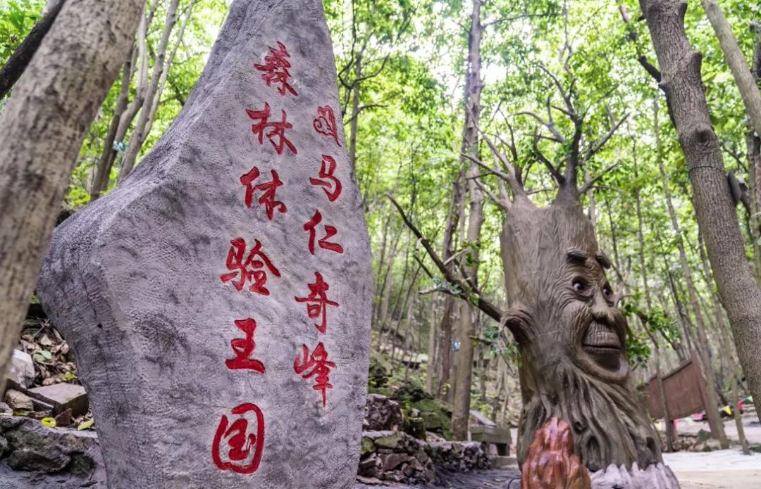 馬仁奇峰、大浦雙雙入選首批“安徽省職工療休養(yǎng)基地”！